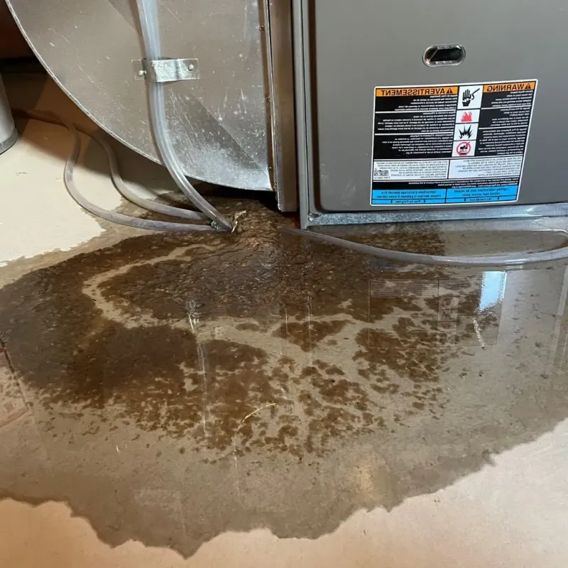Pipe Burst and Leak Restoration in Pea Ridge, WV